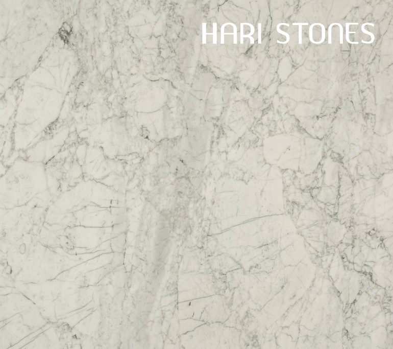 Marble Bianco Statuario Special Batch