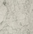 Marble Bianco Statuario Special Batch