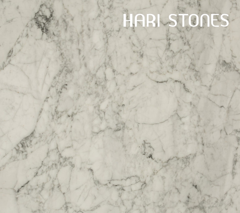 Marble Bianco Statuario Special Batch