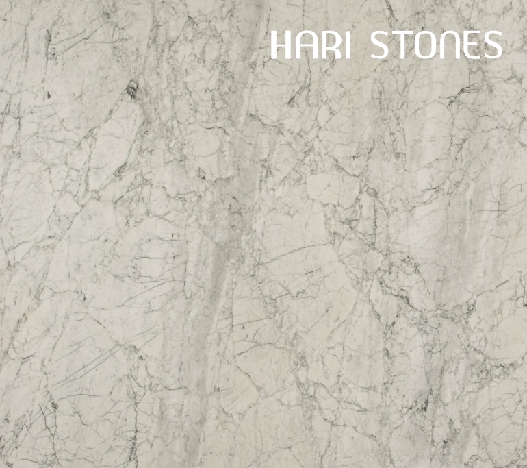 Marble Bianco Statuario Special Batch