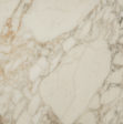 Marble Calacatta Oro Marble Distributor