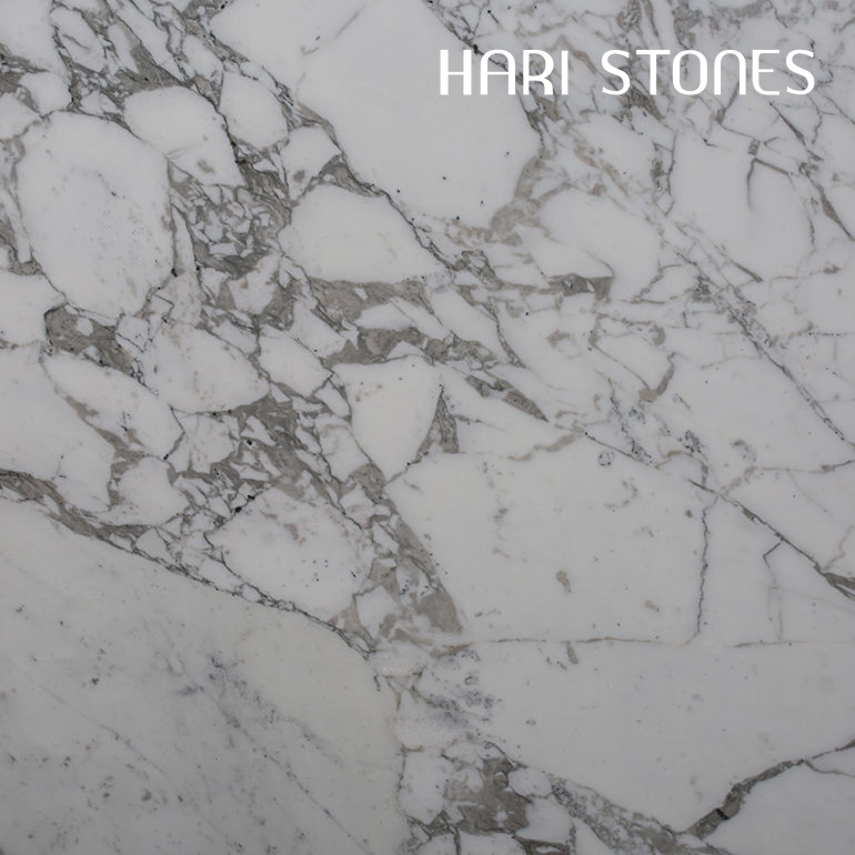 Arabescato Vagli Marble Slabs Suppliers