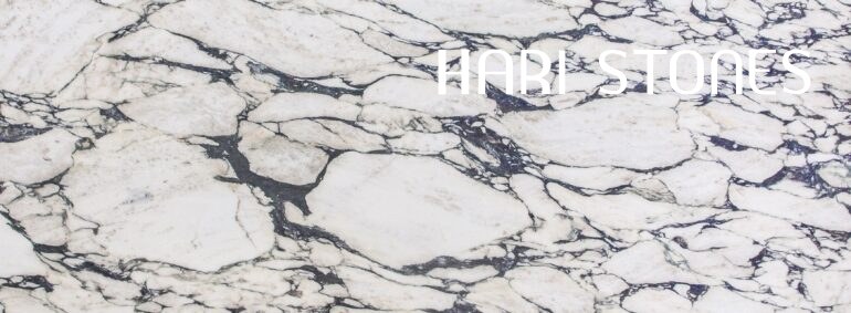 Calacatta Viola Honed 14010 (Coming Soon)